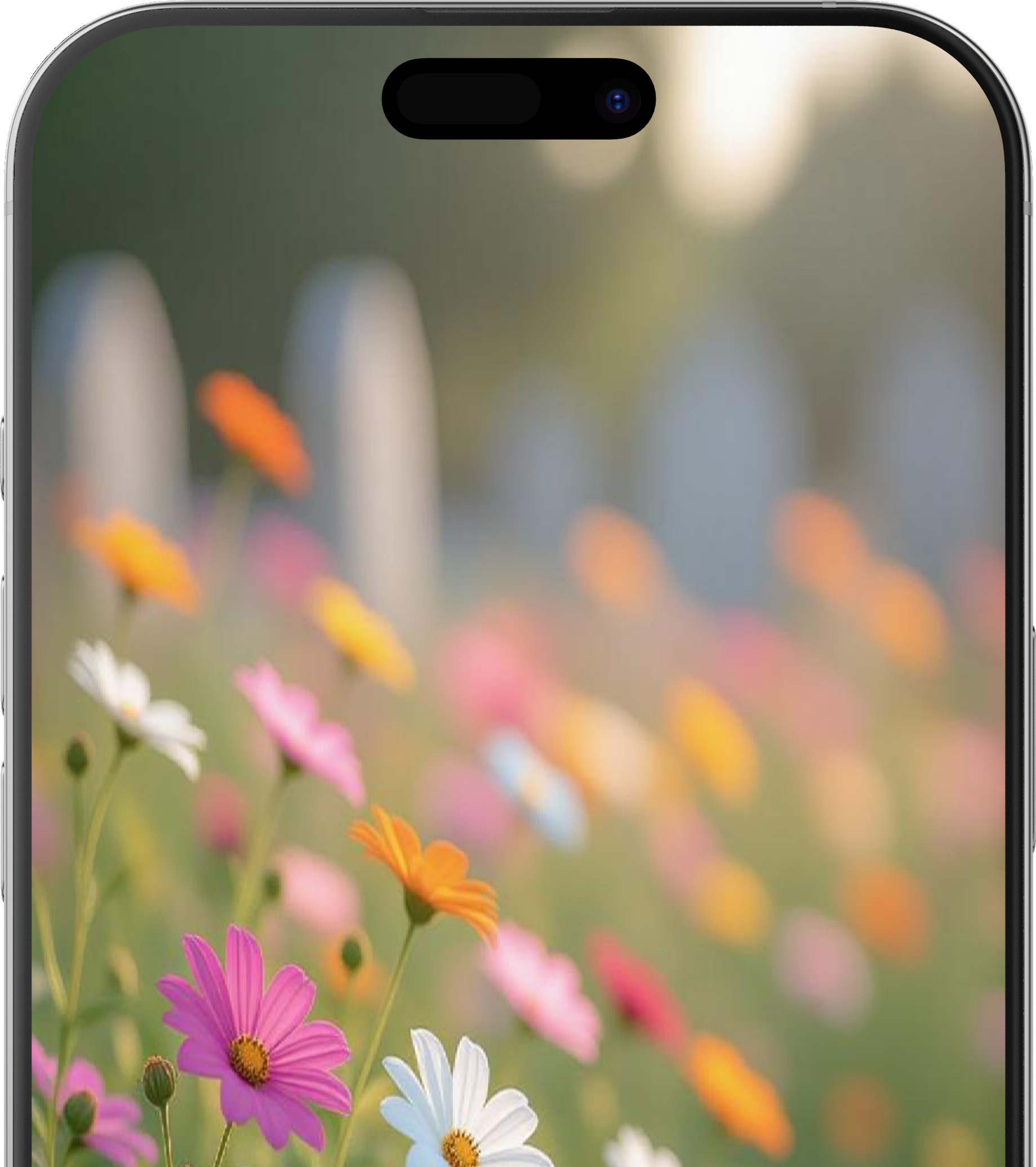 app mockup